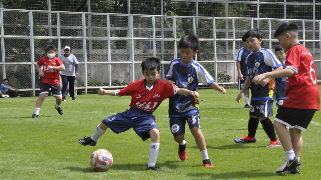 iics house league school